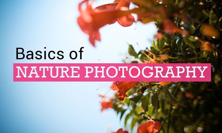 Basic of Nature Photography